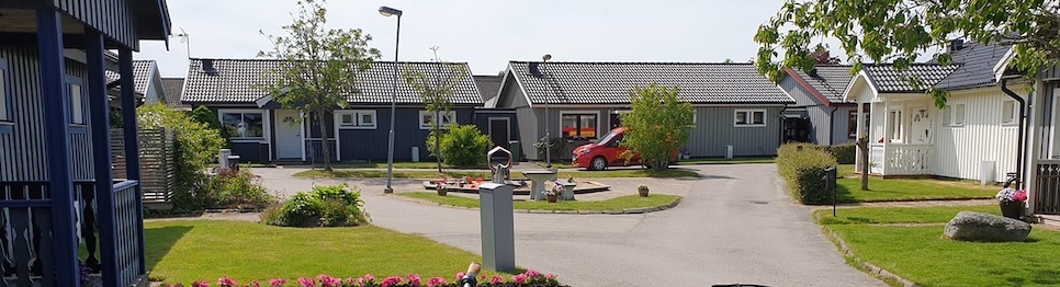 Dillen foto