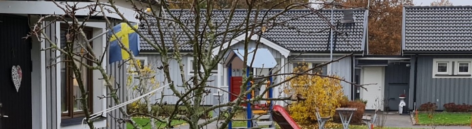 Dillen foto